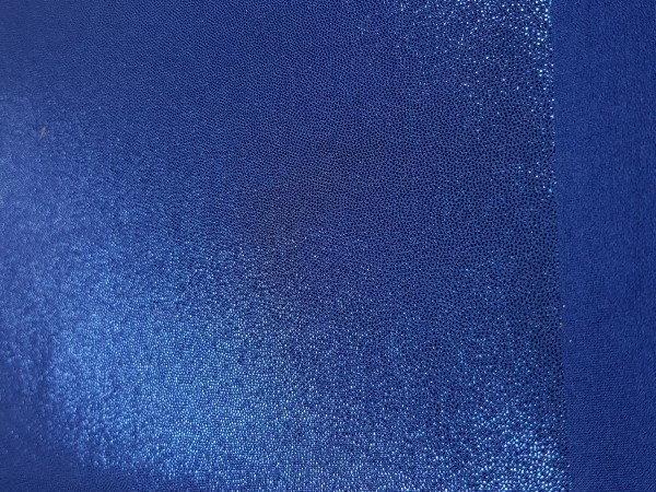 Lycra Honey-pariško modra