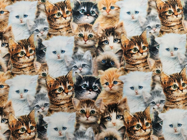 Outdoor waterproof - inpregniran, vodoodbojen, potisk majhnih muckov