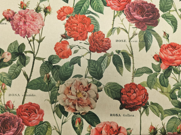 Dekor, lažji - večje vrtnice na natur osnovi, DIGITALNI