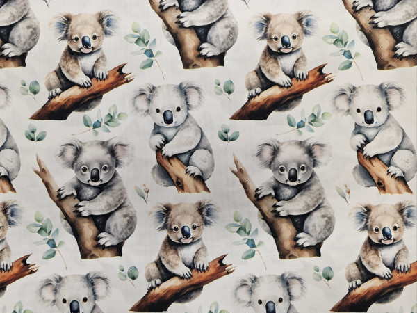 Outdoor waterproof - inpregniran, vodoodbojen, koale na veji, bela osnova