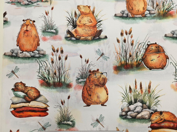 Bombažno platno- bobri na beli osnovi