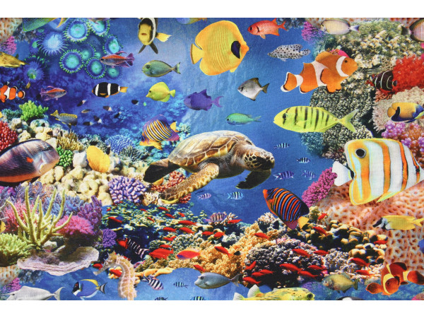 Dekor - življenje pod gladino