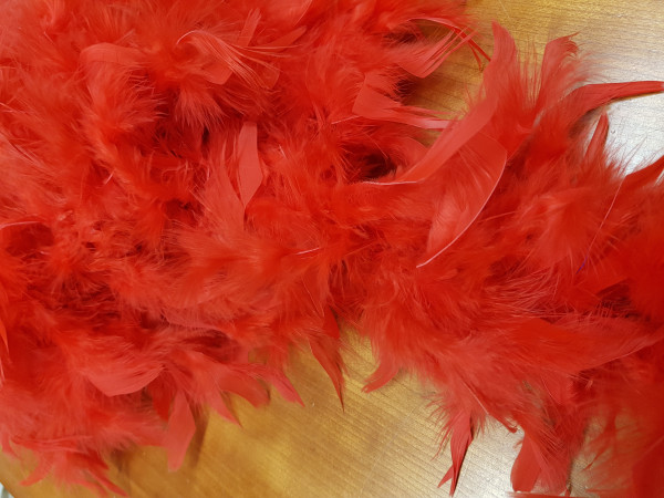 Boa perje v traku-rdeča