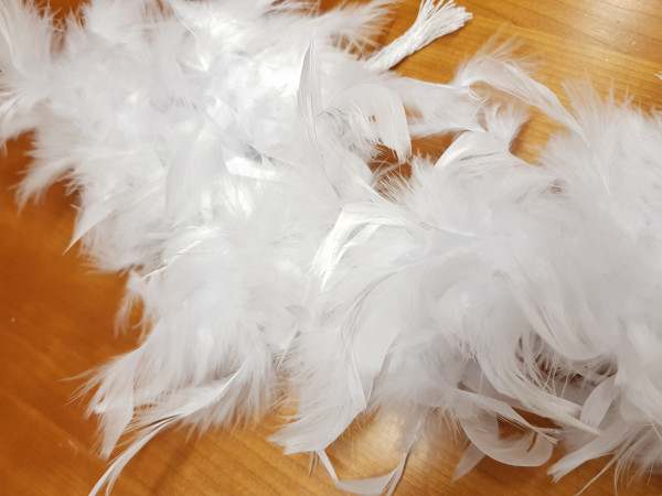 Boa perje v traku-bela