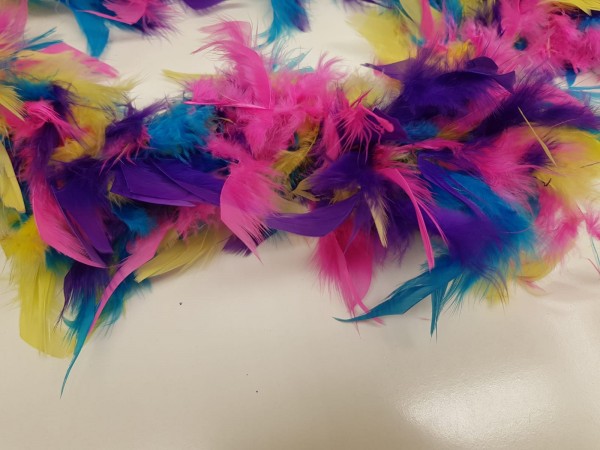 Boa perje v traku-multicolor col 400