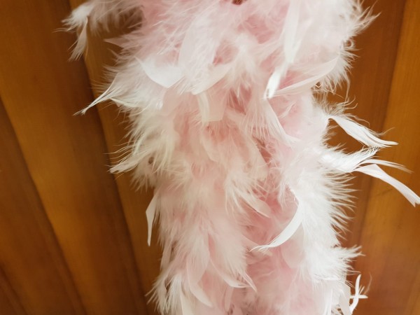 Boa perje v traku- roza